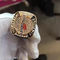De Ring van het de Douanekampioenschap van de honkbalstaat USSSA